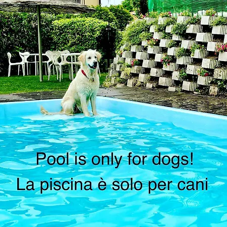 Apartamento Appartamenti Casa Lory *